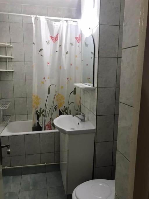 Apartament Confortabil 피테슈티 외부 사진
