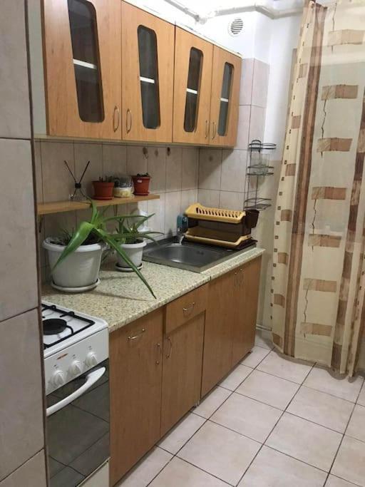 Apartament Confortabil 피테슈티 외부 사진
